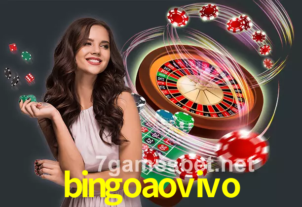vivo no cassino bingoaovivo