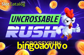 Bonus Features bingoaovivo