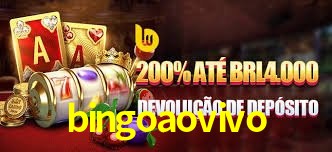 bingoaovivo,bingoaovivo net