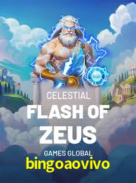 Security Systems bingoaovivo